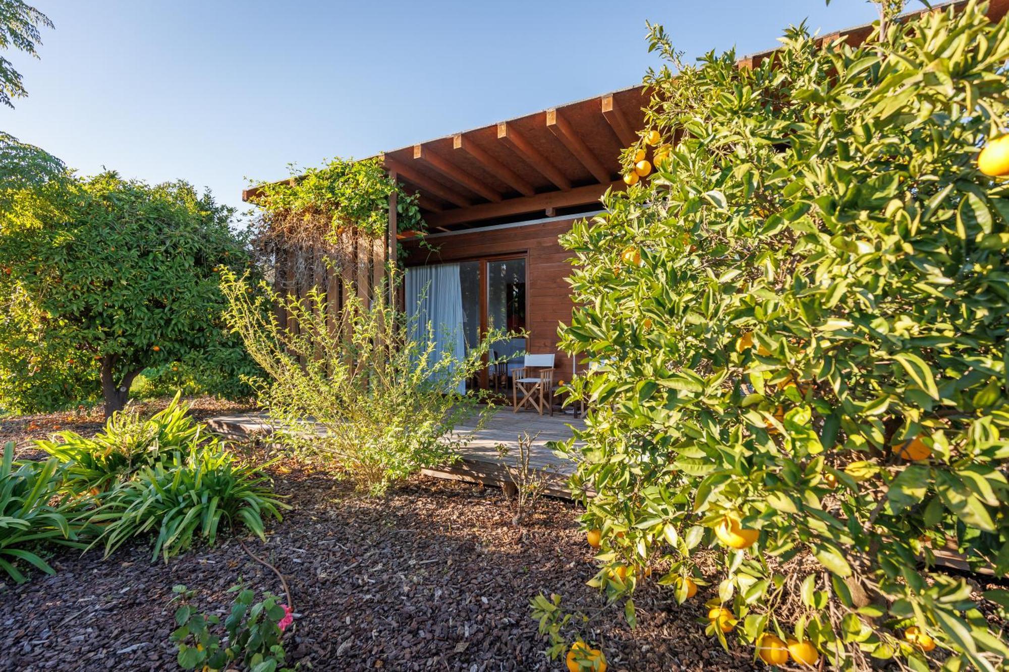 Laranjal Farm House Moncarapacho Exterior photo